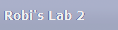 Robi's Lab 2